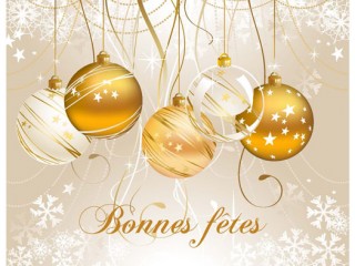 Sani Schmitz vous souhaite de belles f&ecirc;tes de fin d’ann&eacute;e ! Drusenheim